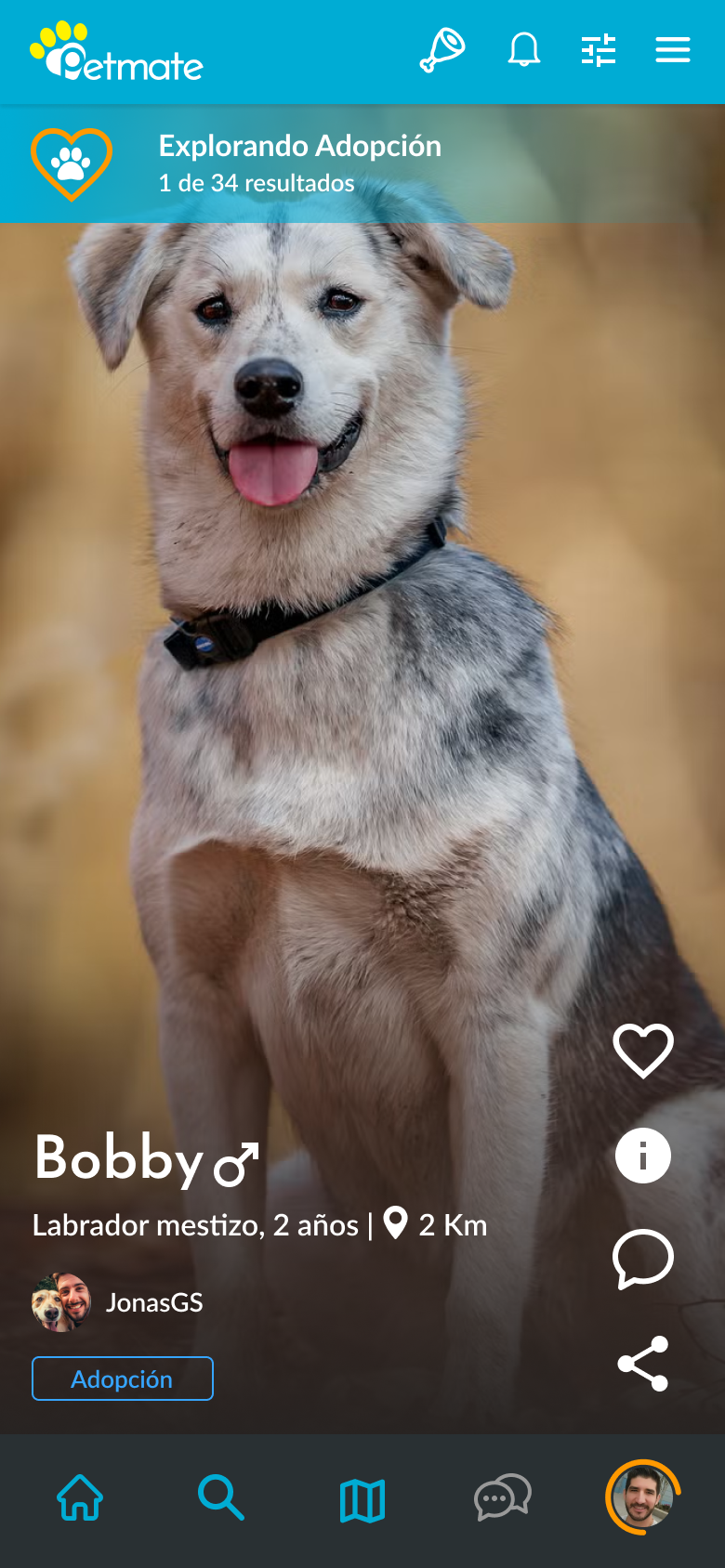 Adopción de mascotas