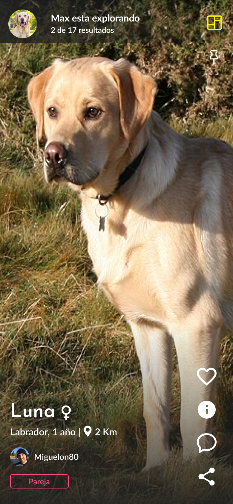 Perfil de mascota en Petmate - Luna